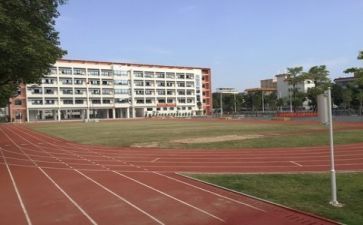 在学校做的事演讲稿精选8篇