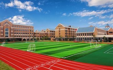 学校情演讲稿精选6篇