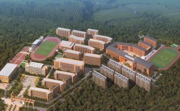学校副校长个人工作总结7篇