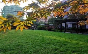学校教研工作计划计划最新5篇