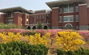 学校管理述职报告5篇