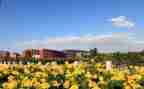 2023学校月工作计划参考7篇