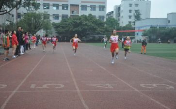 学校体育工作年度总结7篇