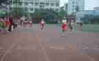 学校体育工作年度总结7篇