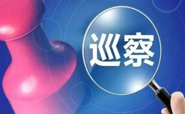 被巡察工作报告6篇