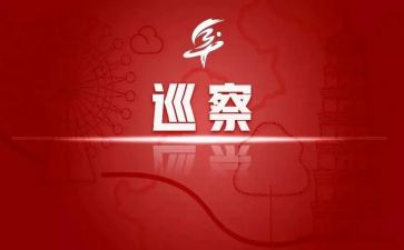 巡察工作报告6篇