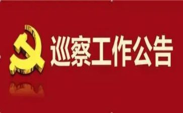 巡察干部工作总结5篇