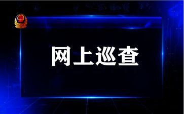 巡查组工作总结范文5篇