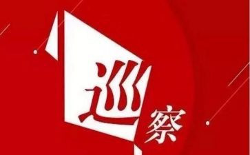 巡查组工作个人总结5篇