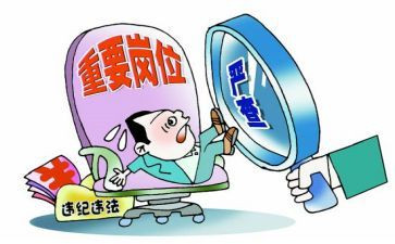 巡查员的个人总结6篇