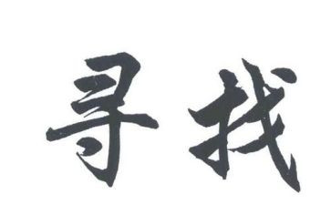 寻访活动总结6篇