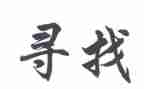 寻访活动总结6篇