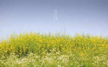 叙事作文600字初中作文优秀7篇