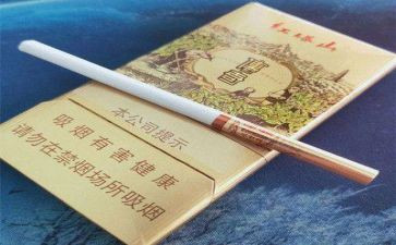 烟的故事读后感通用7篇