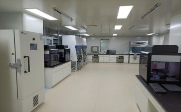 2024检验科个人年度总结优质8篇