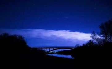 夏夜作文300字7篇