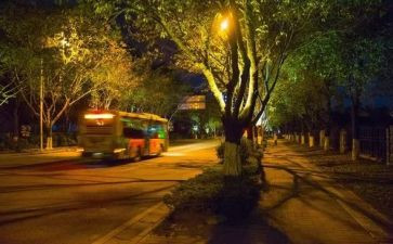 夜王子的读后感7篇