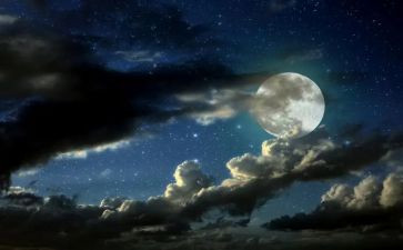 夜游秦淮作文7篇
