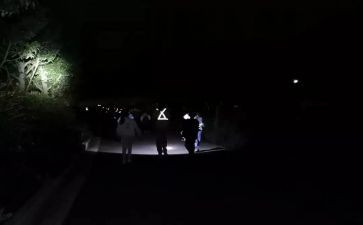 夜行读后感最新7篇