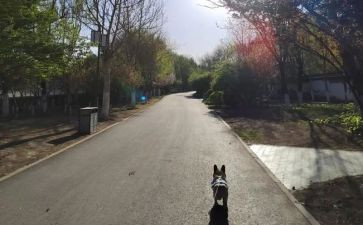 意识形态工作总结下一步计划5篇