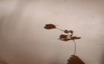 光和影子读后感优秀8篇
