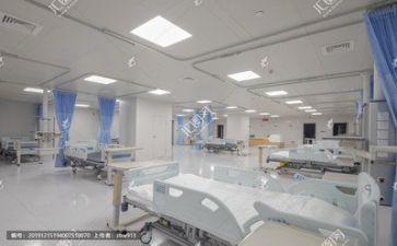 2024年医院年终述职报告参考7篇