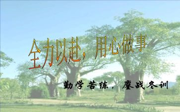 课设通用心得体会7篇