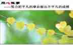 通用心得体会模板通用8篇