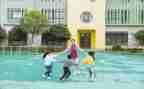 年终工作幼师总结个人总结8篇