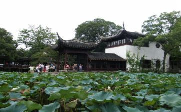 游园活动的总结优秀6篇