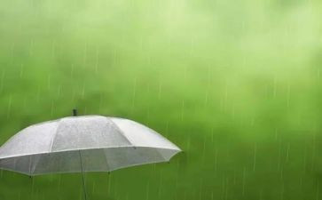 小英雄雨来演讲稿优质8篇
