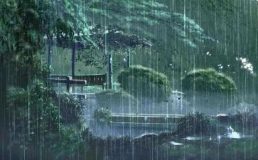 风和雨作文600字初三作文模板7篇