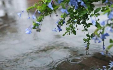 雨的作文600字参考5篇
