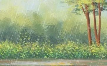 暴雨灾害应急预案7篇