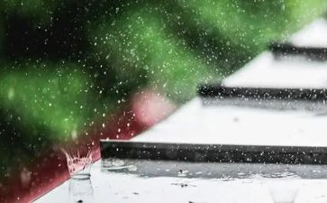 雨的作文800字优质7篇