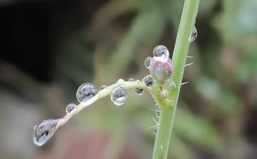 小英雄雨来演讲稿通用6篇
