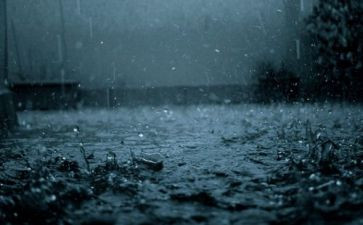 江南的雨作文800字7篇