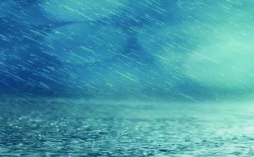 雨来的故事读后感精选8篇