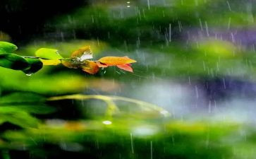 音乐风和雨大班教案反思通用5篇