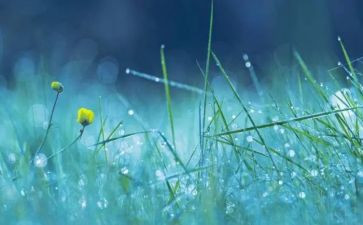 音乐小雪花和小雨滴教案6篇