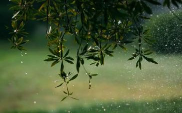 音乐风和雨大班教案及反思推荐7篇