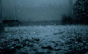 雨天作文800字5篇