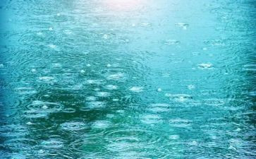 春雨色彩教学反思6篇