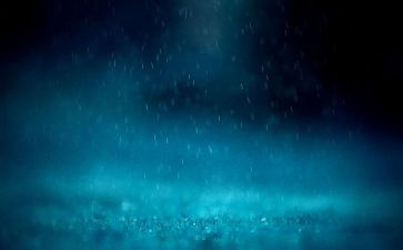 雨天的歌的读后感7篇