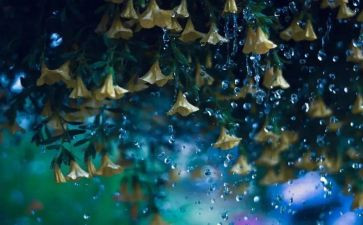我想对雨说作文模板7篇
