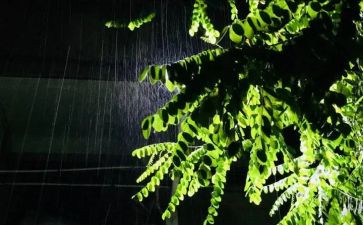 19小英雄雨来教学反思6篇