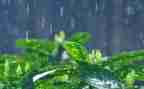 小英雄雨来演讲稿7篇