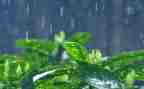 中班语言雨教案反思5篇