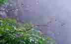 《雷雨》观后感600字6篇