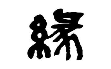 生命缘读后感200字7篇